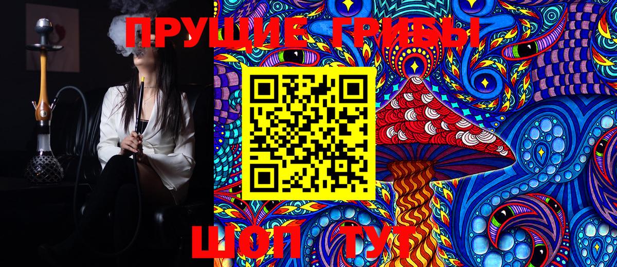 Галлюциногенные грибы Psilocybe Анапа